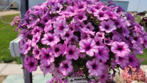 Danziger Unveils New Technical Product Pages