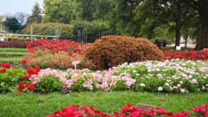 International Plant Trialing Conference Coming to the Upper Midwest in 2025