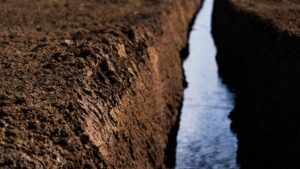 Growing Media Companies on the Current and Future State of Peat