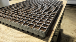 Growing Media Companies on Flexibility in Tailoring Mixes