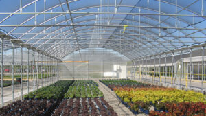 Rainbow® Plus Greenhouse