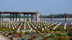 Dates Announced for National Garden Bureau/All-America Selections Summer Summit