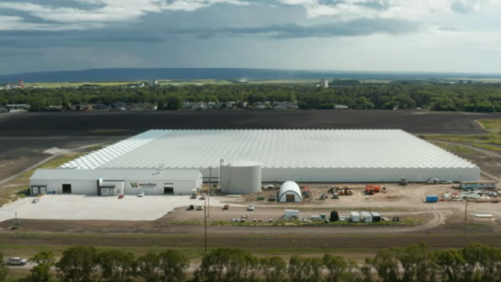 Netafim Partners with Vermillion Growers to Open a State-of-the-Art Greenhouse