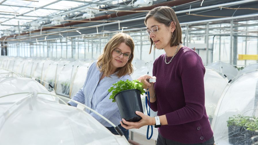 New Report From Vineland Highlights Horticulture Innovation in Action ...