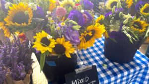 Cut Flowers Gain a Following as an Alternative Crop for Farmers