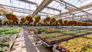 What Growers Need to Know About Greenhouse Insurance Renewals