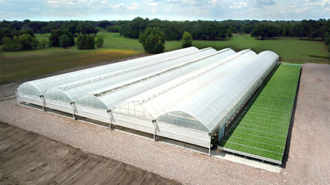 Super Arch Gutter Connect - Greenhouse Grower