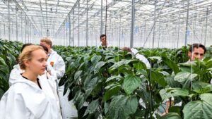 When Tech Companies and  Universities Team Up, Growers Succeed