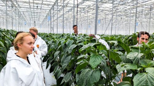 When Tech Companies and  Universities Team Up, Growers Succeed