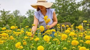 6 New Edible and Garden Offerings From Burpee for 2024