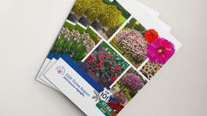 Which New Plants Will Thrive in 2024? Here’s What the Eason Team Thinks