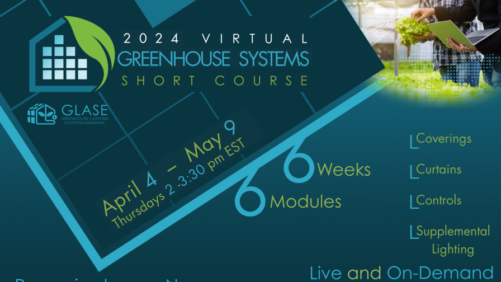 How Greenhouse Systems Make Growers Resilient and Profitable