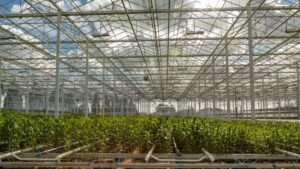 How to Reassess Your Property Values to Account for Inflation