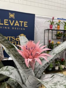  Elevate Living Design/Kent’s Bromeliad Nursery