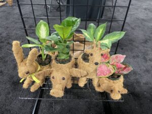 Pride Garden Products Woodland Planters