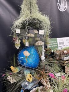 Russell’s Bromeliads