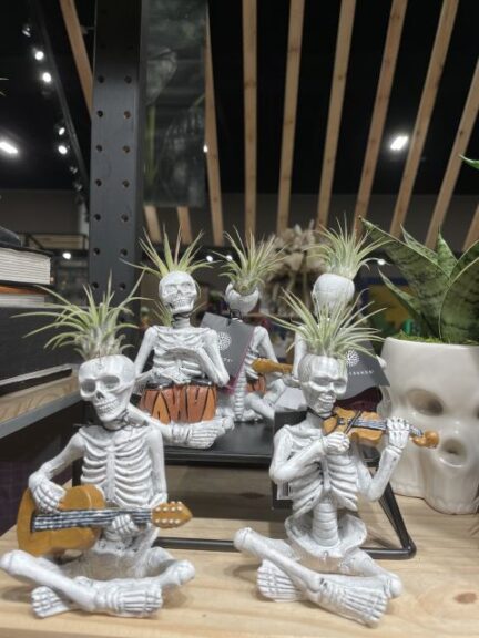 Live Trends Design Group