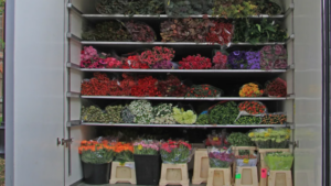 The Importance of Proper Plant Packaging for Shipping