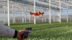 How Drones Are Being Used in and Above the Greenhouse