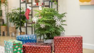 Holidays Crops Offer a Twist