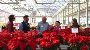 Pink, Patterns Among Biggest Trends at 2023 Poinsettia Trials
