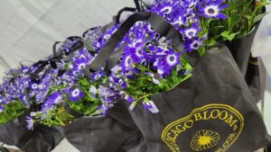 Flowers Take Center Stage at 2024 Grammy Awards