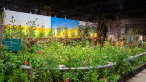 Award Winners From the 2024 Philadelphia Flower Show