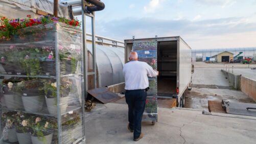 Understanding Your Greenhouse’s Commercial Auto Policy and What it Protects