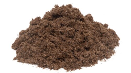 Growing Media Companies on Potential Tariff Impacts