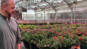 Impello Biosciences Joins Forces with Colorado State University on Biologicals Research