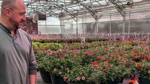 Impello Biosciences Joins Forces with Colorado State University on Biologicals Research