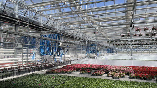 Video Spotlight: Greenhouse Structures from Prospiant