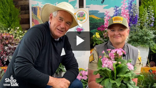 Primula Gets Bigger and Taller at Pacific Plug & Liner (Video)