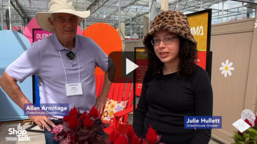 Sakata’s New ‘Burning Embers’ Celosia at California Spring Trials (Video)