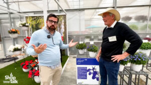 New Begonia and Lobelia From Westhoff (Video)