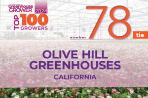 #78 (Tie): Olive Hill Greenhouses