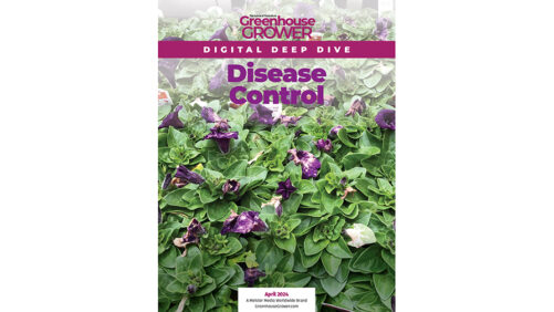 Don’t Miss Greenhouse Grower’s Digital Deep Dive on Disease Control