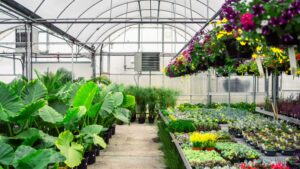 Choosing the Right Greenhouse Heating Solutions and Maintenance Practices