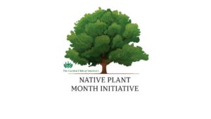 April as Native Plant Month Gains Ground in All 50 States