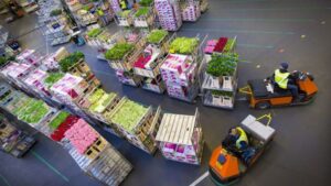 Royal FloraHolland Commits to Full Sustainability by 2026