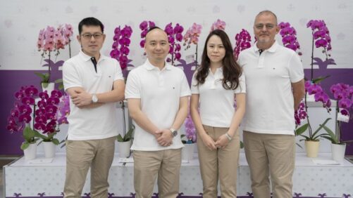 Dümmen Orange Shifts Management of its Global Orchid Business