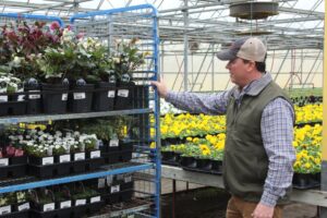 Cover Story: Teamwork Drives Success at Babikow Greenhouses
