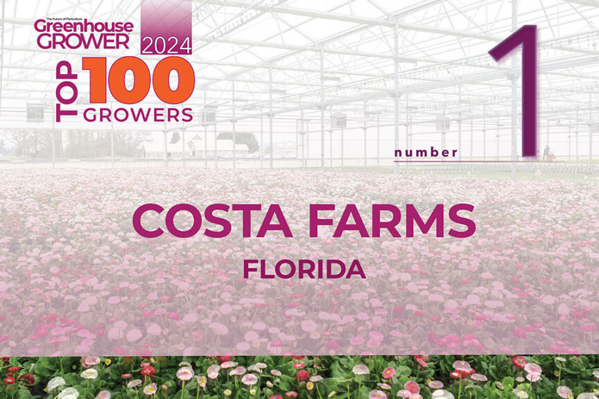 #1: Costa Farms