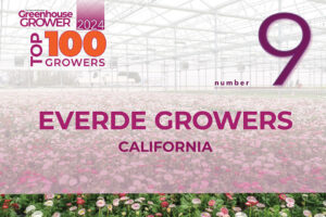 #9: Everde Growers