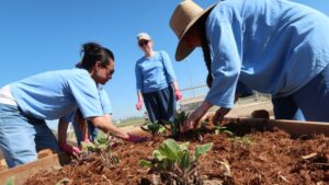 National Garden Bureau Now Accepting 2024 Therapeutic Garden Grant Applications