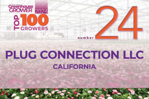 #24: Plug Connection