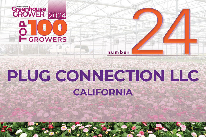 #24: Plug Connection