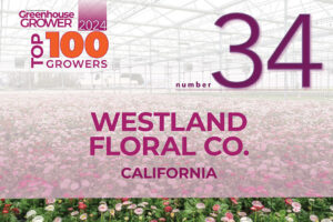 #34: Westland Floral Co.