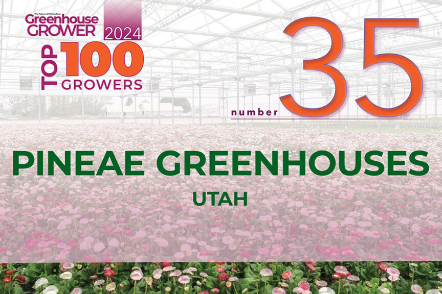 #35: Pineae Greenhouses