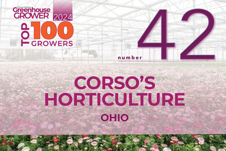 #42: Corso's Horticulture